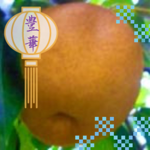 豊華梨おまかせ大玉サイズ（3kg）