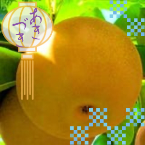 あきづき梨おまかせサイズ（3kg）