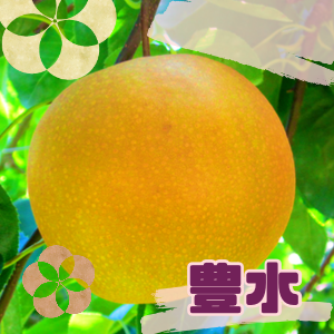 豊水梨4Lサイズ（5kg）