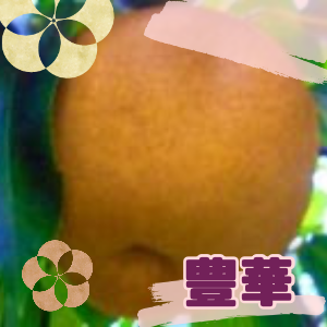 豊華梨おまかせ大玉サイズ（5kg）
