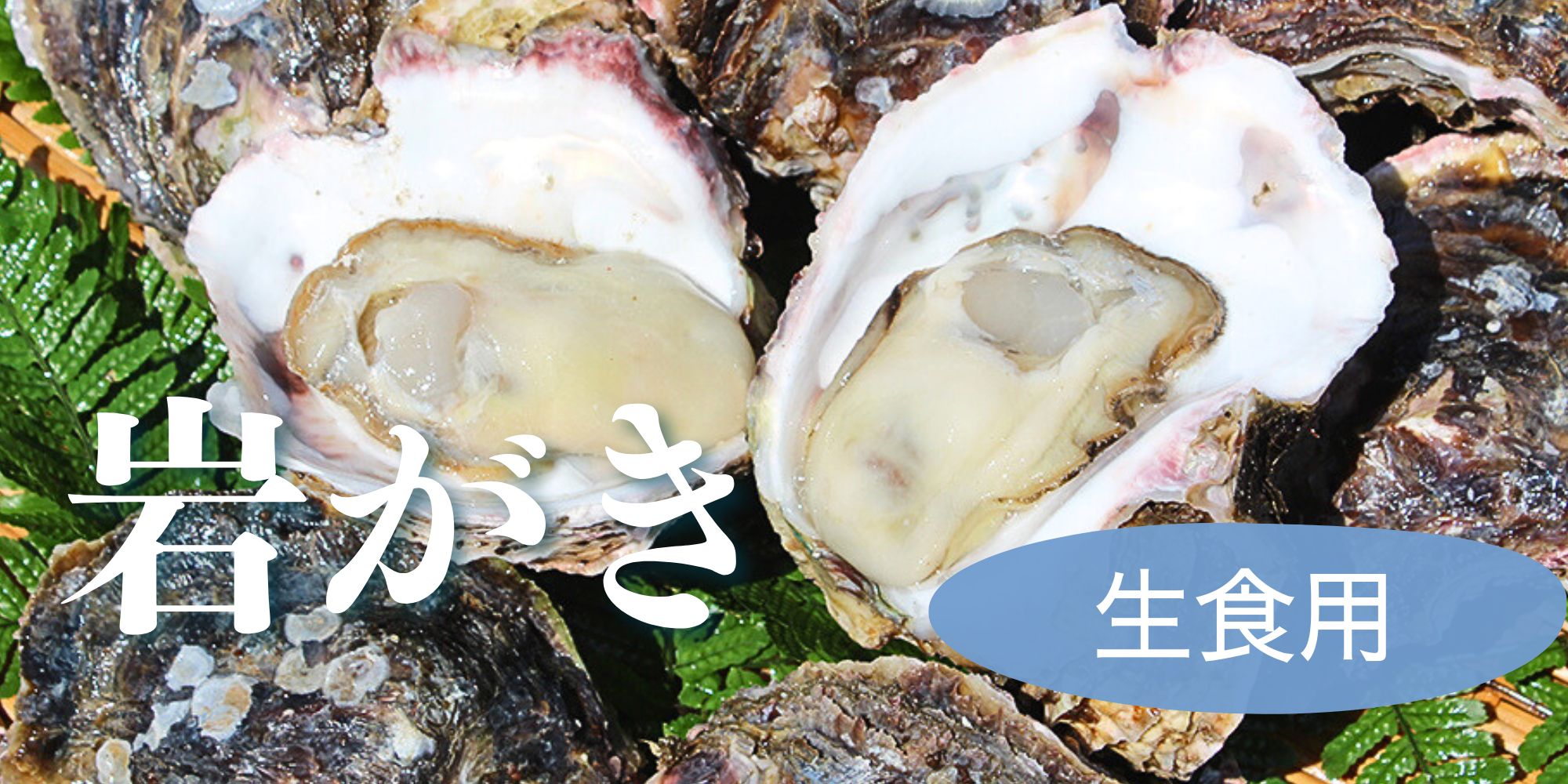 岩牡蠣