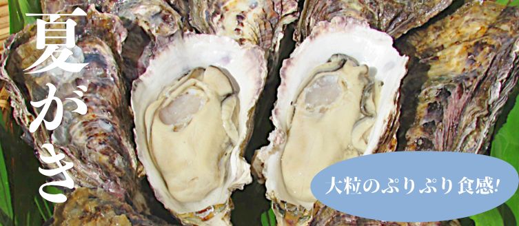 夏でも安心してお召し上がりいただける特別な夏がき