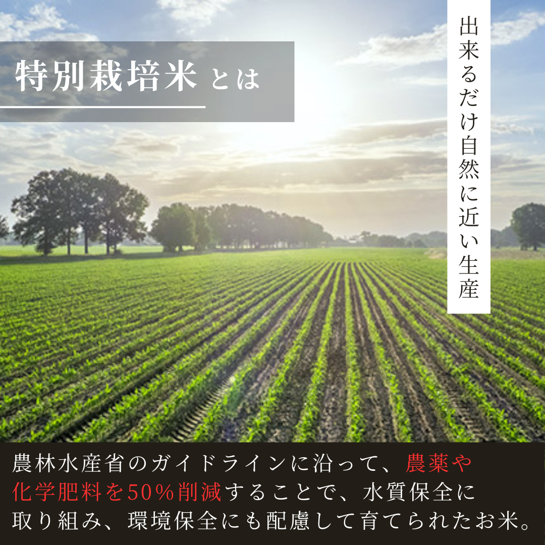 特別栽培米と環境保全米について
