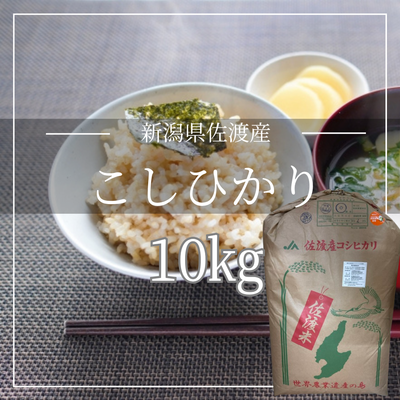 【玄米】新潟県佐渡コシヒカリ 　環境保全米）　低GI米　血糖値コントロール　腸活
