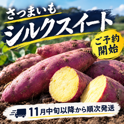 さつま芋　シルクスイート　5kg箱　土付き　(S~２Lサイズミックスサイズ)　11月中旬以降順次配送開始