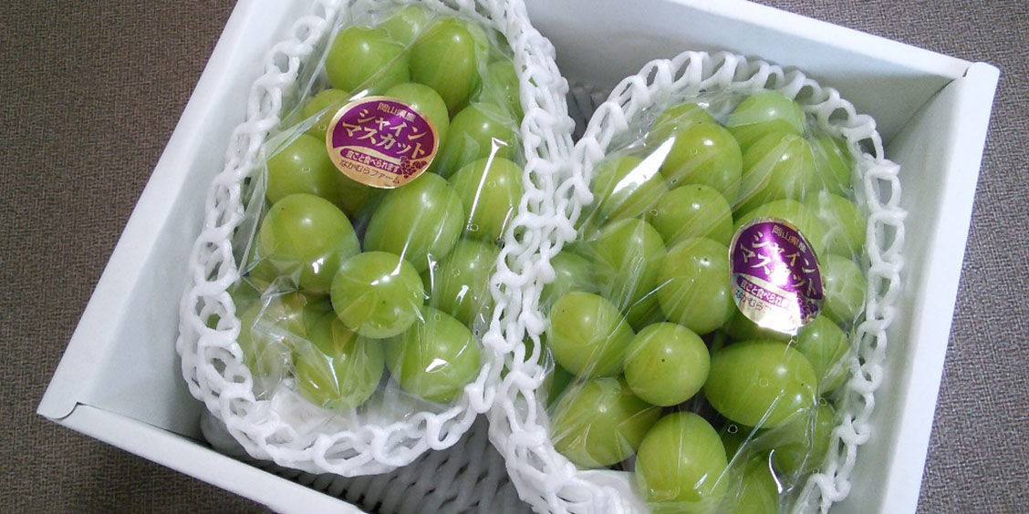 シャインマスカット5㌔　房型バラバラ　1㌔1100円　10㌔まで 完全予約制】“超希少品種”ブラックシャインマスカット「富士の輝