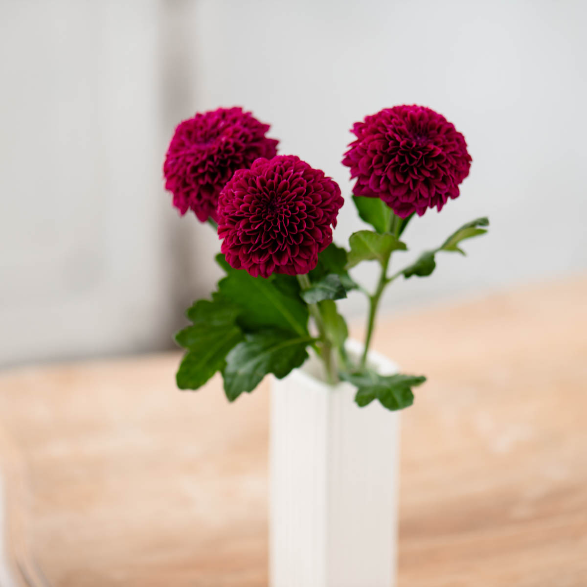 ディスバッドマム】ミッドナイトパープル/10本（1本145～325円）＊送料