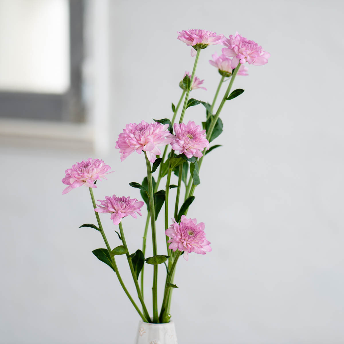 ファーアウト スプレー マム大学オンラインストア