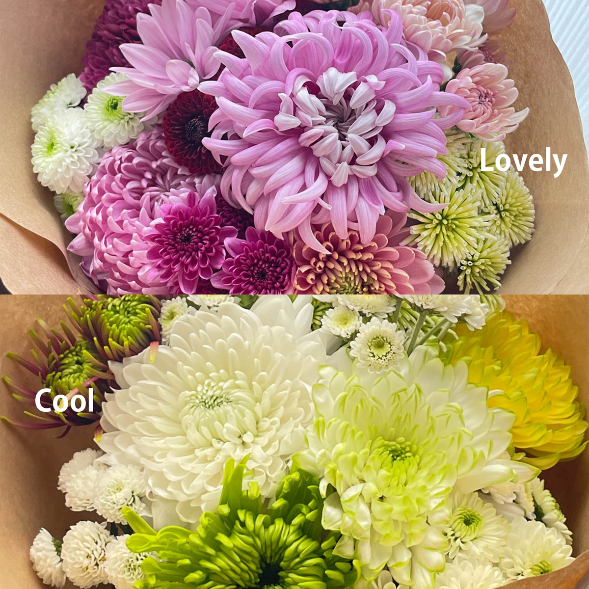 マムブーケセット】～Lovely/Cool～＊送料無料＊ | マム大学オンライン