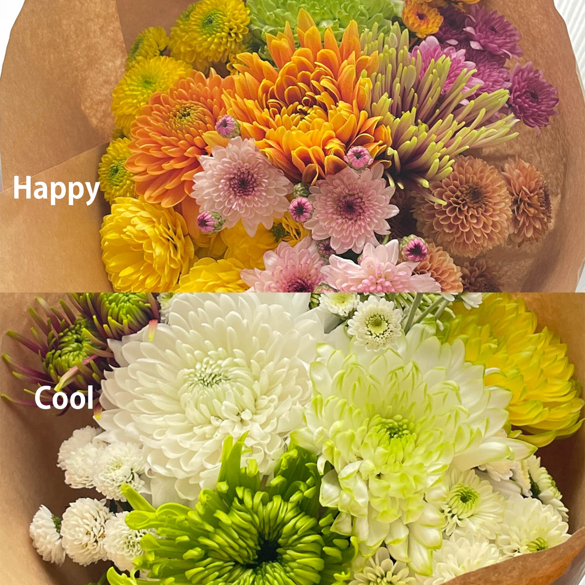 happy&Cool_1648421544332_1200.jpg