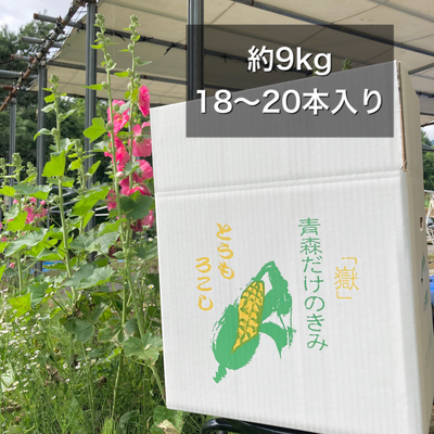 嶽きみ約9kg冷蔵便　B