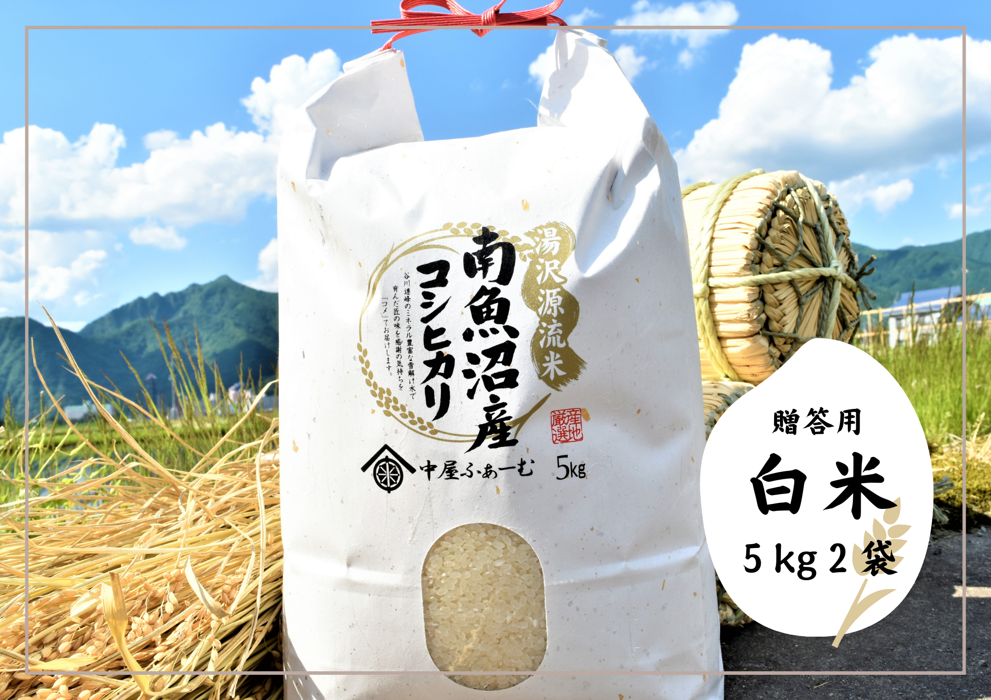 白米10kg_1694060647750.png