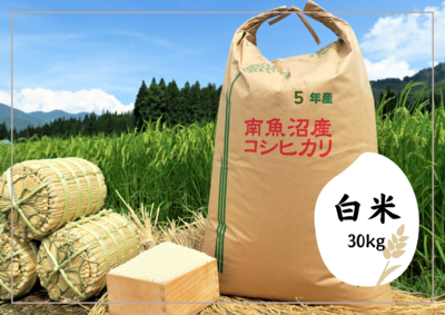 南魚沼産コシヒカリ 玄米30kg | 中屋ふぁーむ Shop