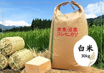 南魚沼産コシヒカリ　白米30kg（大袋）