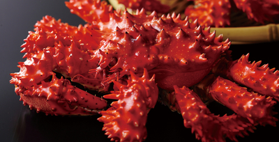 花咲がに（大）