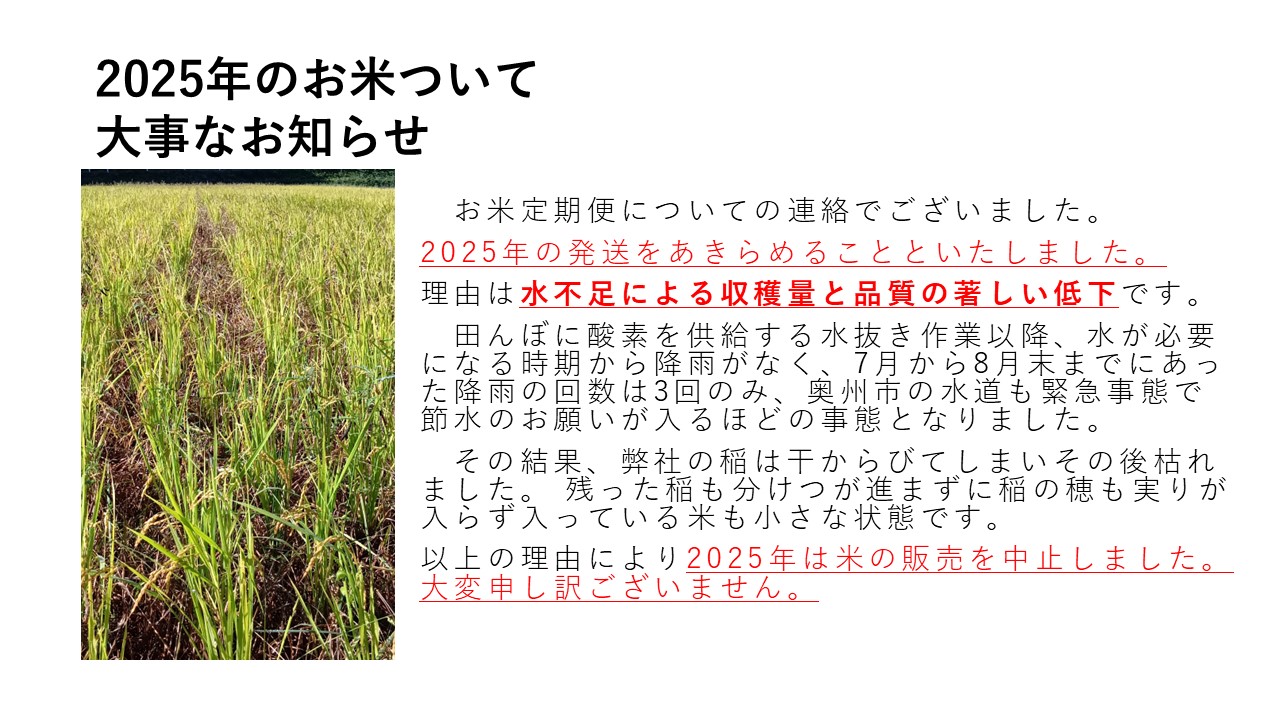 お米定期便についての連絡でございました。
今年の発送をあきらめることといたしました。
理由は水不足による収穫量と品質の著しい低下です。
田んぼに酸素を供給する水抜き作業以降、水が必要になる時期から降雨がなく、7月から本日までにあった降雨の回数は3回のみ、奥州市の水道も緊急事態で
節水のお願いが入るほどの事態となりました。
弊社の稲は干からびてしまいその後枯れました。
残った稲も分けつが進まずに稲の穂も実りが入らずはいている物も小さな状態です。
このまま進めても良い結果には至らないのが明白でございましたので、お待ちくださいましたみなさまには大変申し訳ないのですが出荷を中止させていただきます。