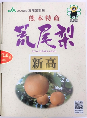 荒尾梨 新高 4玉入り