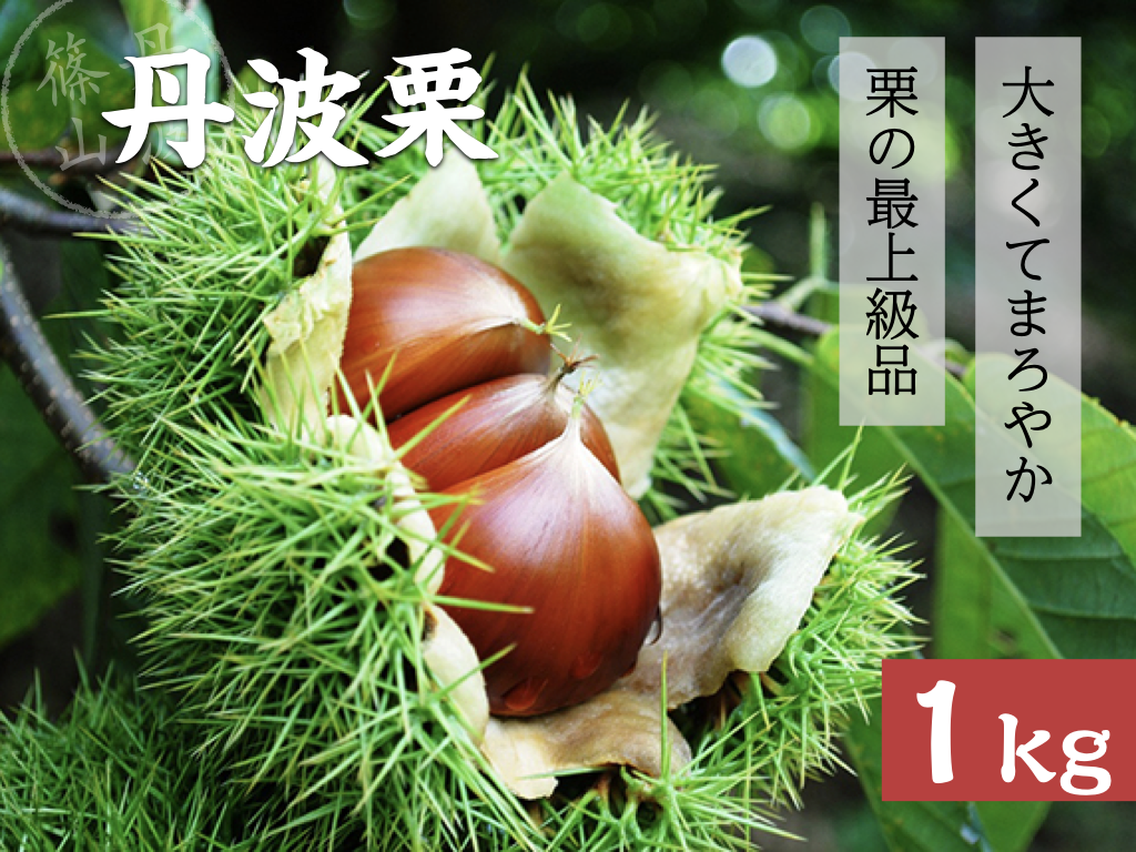 特産館ささやまオンラインショップ～丹波篠山の贈り物～