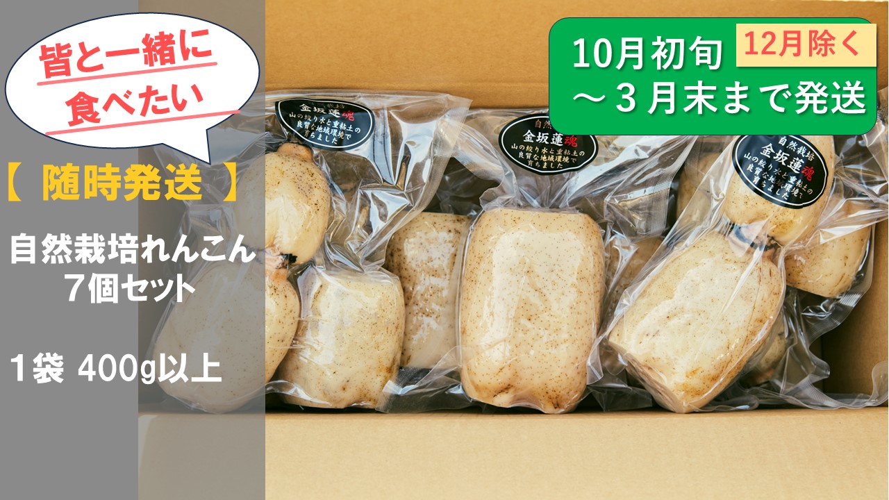 スライド10_1731236470034.JPG