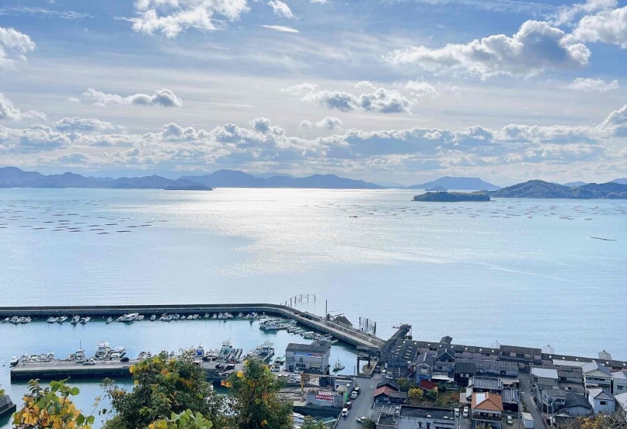 EU認定のカキ、三津湾