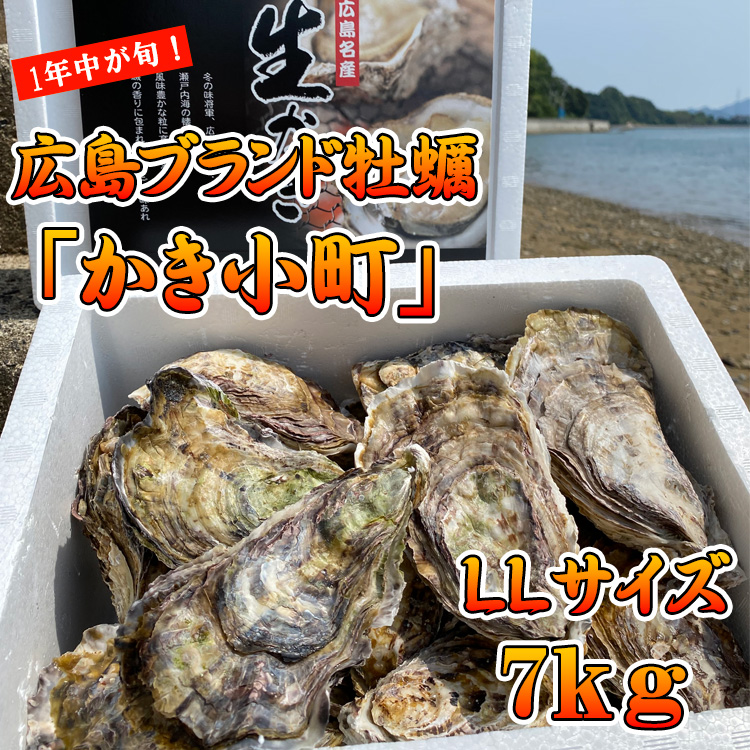 オーズプランツ　青典牡丹　カキコ オーズプランツ 青典牡丹 カキコ