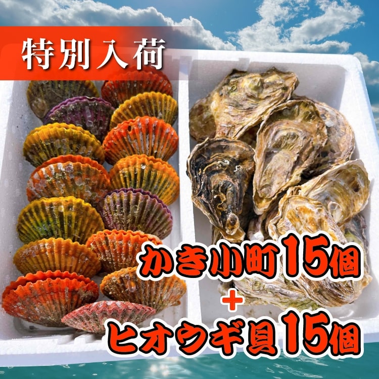 極撰　かき小町むき身　500ｇ