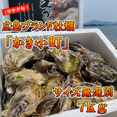 かき小町サイズ無選別　7kg
