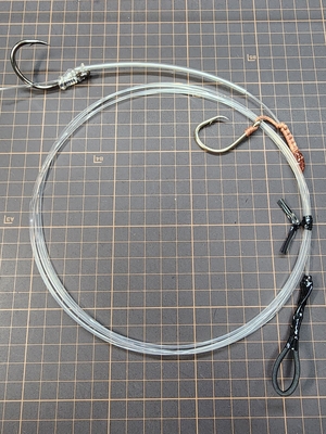 活イカ泳がせ　フロロカーボン30号　ループ加工　ひらかん20号