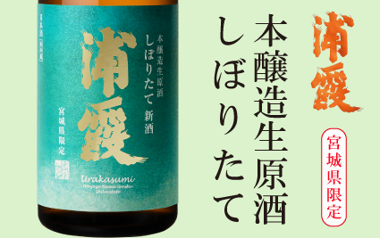 本醸造しぼりたて