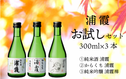 お試しセット