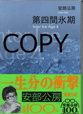 S29 第四間氷期 改版