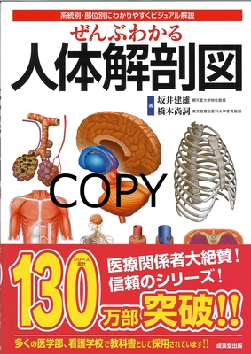 M13 ぜんぶわかる人体解剖図