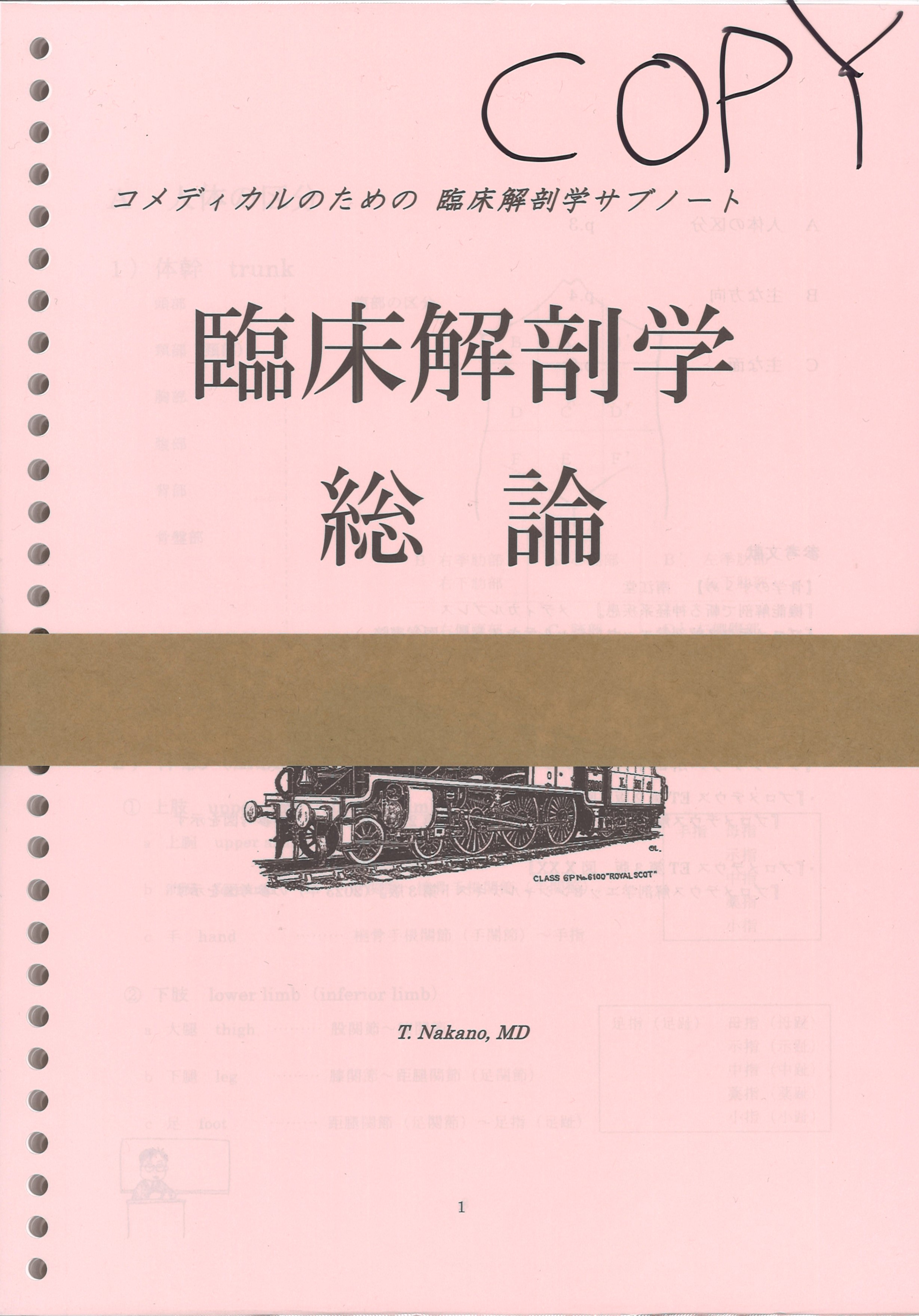 絶版:解剖学ノート腹部2(フランス語) 絶版:解剖学ノート腹部2(フランス語)