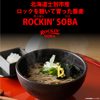 ROCKIN SOBA(ロックを聴いて育てた蕎麦使用）2人前×2(オリジナル保冷