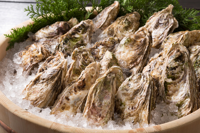 荻浜湾桃浦産活〆牡蠣セット(10個)