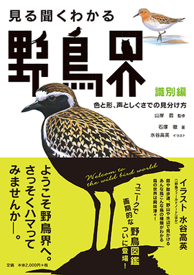 見る聞くわかる 野鳥界 生態編―生息環境とわけあり行動の進化 | 信毎の