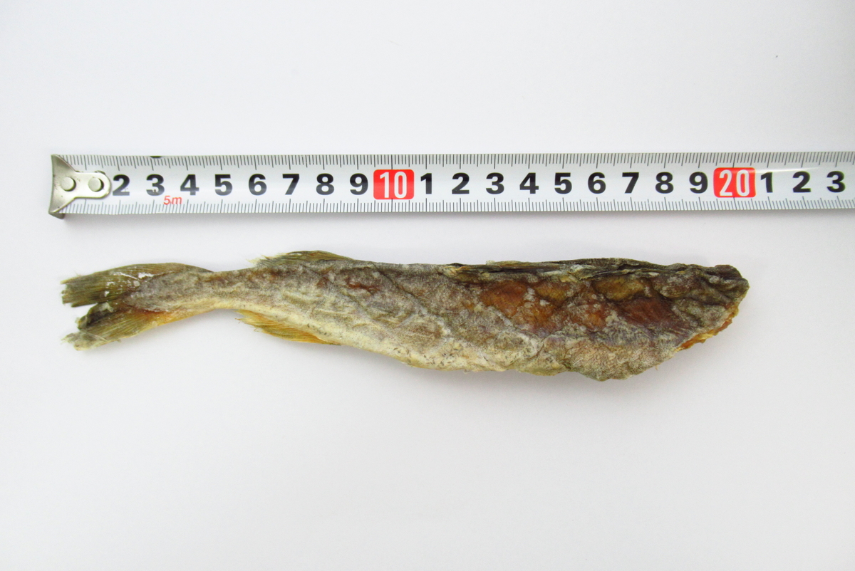 北海道 根室産 干しこまい 氷下魚 小サイズ 170g 上野アメ横 新谷商店