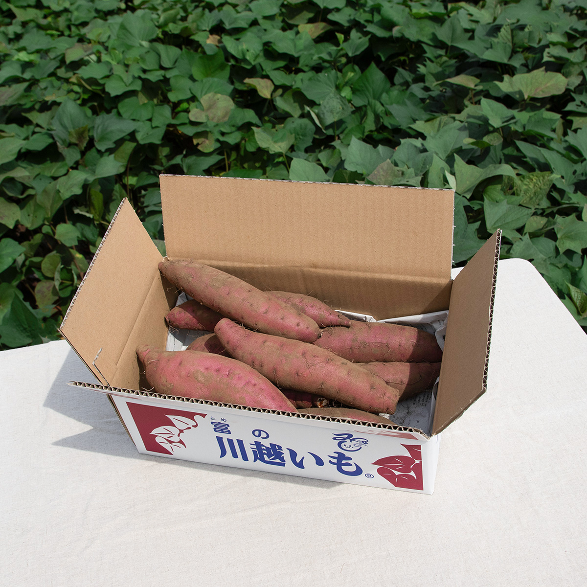 栗かぐや 3kg L~S | むさし野自然農場