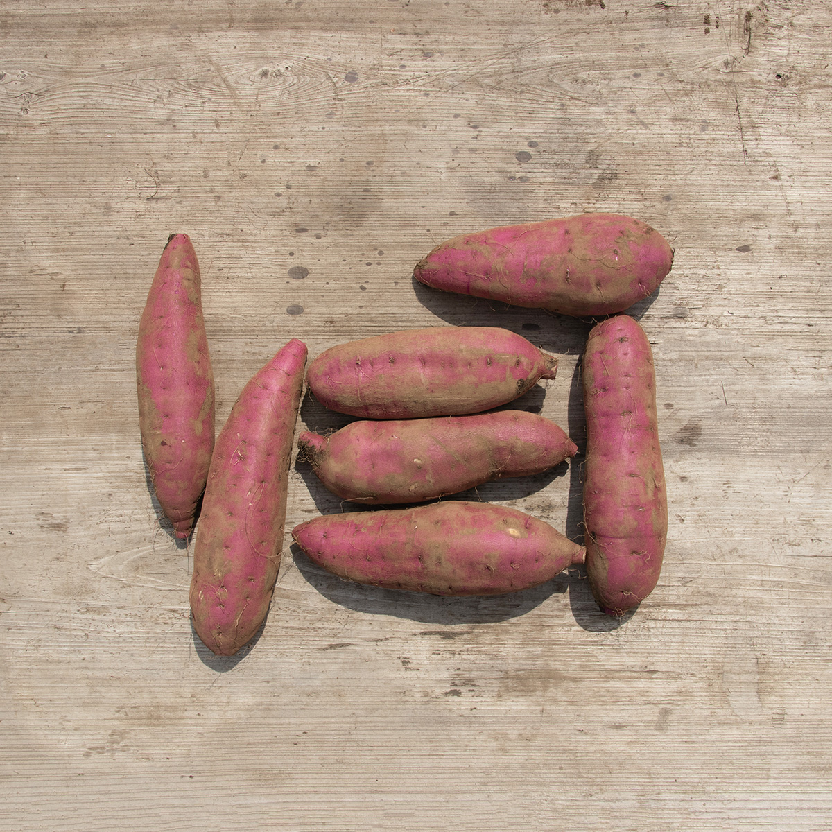 紅はるか 3kg L~S | むさし野自然農場