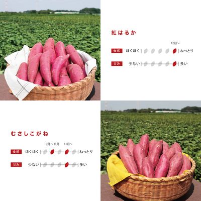 むさしこがね＋紅はるか　5kg　LM