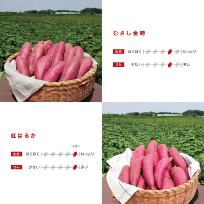 紅はるか＋むさし金時　5kg　LM