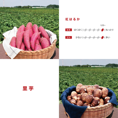 紅はるか＋里芋　5kg　LM