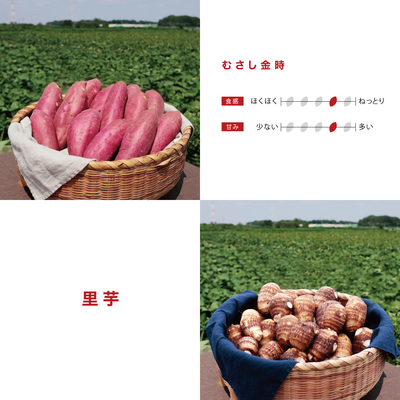 むさし金時＋里芋　5kg　LM