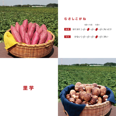 むさしこがね＋里芋　5kg　LM