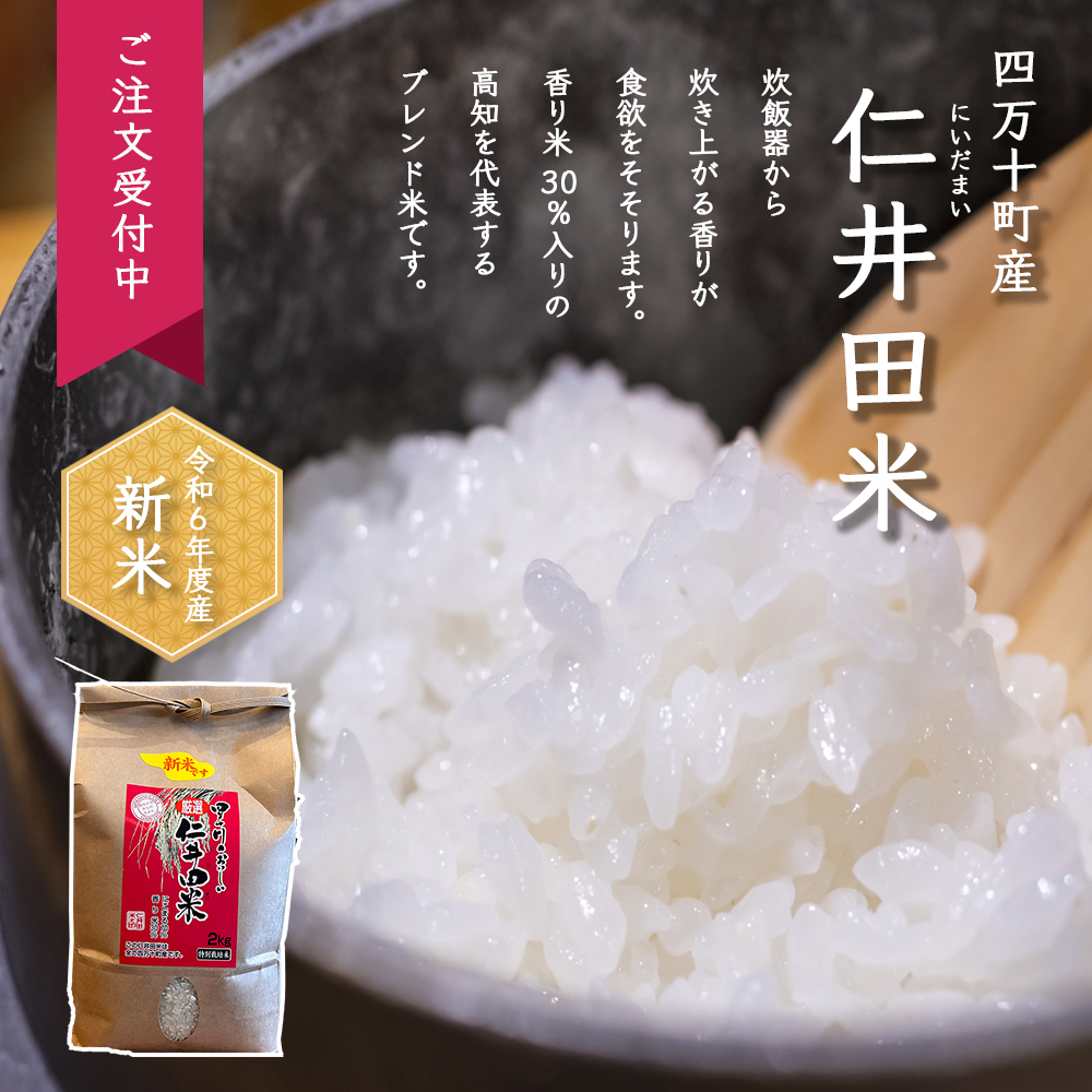 白米 約27kg 京都 丹後 米 コシヒカリ 送料無料 丹後コシヒカリ 京都の通販