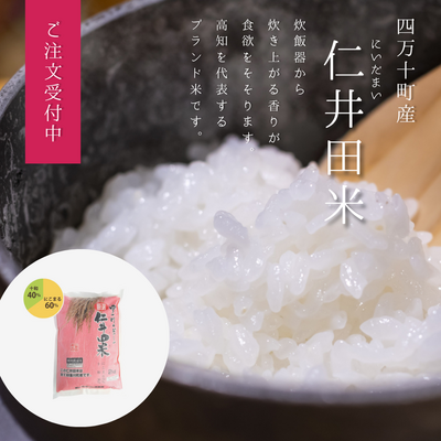 【令和7年度産】【特別栽培米（にこまる60％、香り米40％）】四万十川のおいしい仁井田米