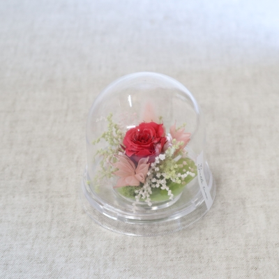 Petit Colore -プティ コロレ