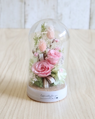 Bonheur -ボヌール-