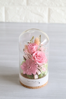 Bonheur Zinnia -ボヌール ジニア-