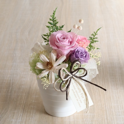 Dentelle -ダントル-